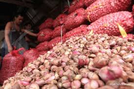 Dengan cara menanam bawang merah di pot, tentu tidak harus memerlukan lahan yang bagus dan luas. Cara Menanam Bawang Merah Yang Praktis Dan Mudah