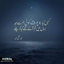 Meri sadgi dekh kia chahta hoon. The Best Of Mir Taqi Mir Poetry 2 Line Mir Taqi Mir Poetry Mir Taqi Mir Beautiful Poetry