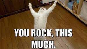 Happy 2 year work anniversary cat meme. 35 Hilarious Work Anniversary Memes To Celebrate Your Career Fairygodboss