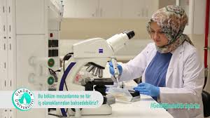 We did not find results for: Molekuler Biyoloji Ve Genetik Bolum Mezunlari Hangi Alanlarda Calisabilirler Youtube