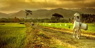 Hasil gambar untuk pembangunan kawasan desa