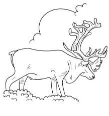 Top 20 reindeer coloring pages: 30 Free Reindeer Coloring Pages Printable