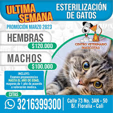 Centro Veterinario Mascotas