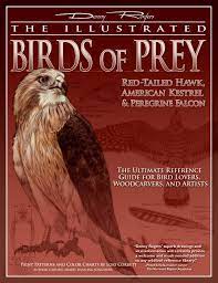 We did not find results for: Illustrated Birds Of Prey Red Tailed Hawk American Kestral Peregrine Falcon The Ultimate Reference Guide For Bird Lovers Woodcarvers And Artists Fox Chapel Publishing Denny Rogers Lori Corbett 9781565233102 Amazon Com Books