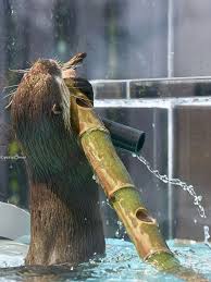 How Many Toys Can Otter Hold At Once May 3 2017 Otters Otter Love Sea Otter