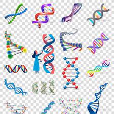 dna图片素材医学科学研究素材医疗科技dna picture material medical science research material medical technology kids rugs decor home decor