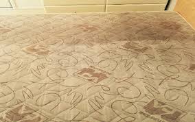 For faster service click to call button below. Professional Upholstery Cleaning Barry S Carpet Cleaning Pest Control