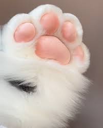 New Style Fluffy Fur Big Pad Paws(Fursuit Paws)