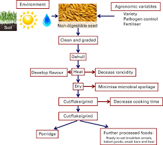 A Flow Diagram Showing The Production Of Oats On The Farm