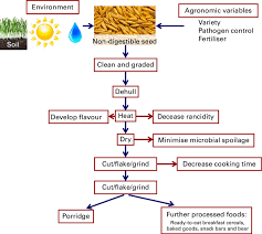 a flow diagram showing the production of oats on the farm