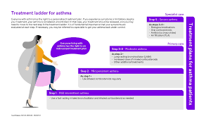 Image result for Moderate Persistent Asthma