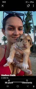 hello! I need someone two watch my two dogs in las terrenas while I'm to  santo domingo for two days (sept 20th-21st). preferably someone with a  fenced yard 😊🙏🏼