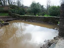 18 attractive diy backyard pond ideas for your garden. Projects Dartmoor Pond Services