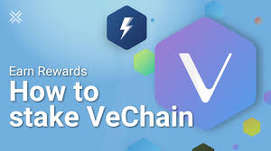 I don't think exodus is bad though. How To Stake Vechain Vet Vtho Staking Youtube
