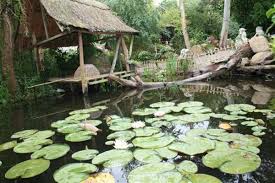 Tropical Parc Dans Le Morbihan Avec Images Jardin Exotique Tropical Jardins