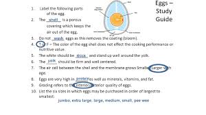We'll ship your order fast so you can repair your bbq and get grilling. 33 Label The Parts Of An Egg Label Design Ideas 2020