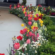 What flowers bloom in winter in california. Fall Winter Flower Beds Landscape Makeover Folsom Sacramento