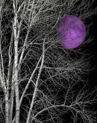 What Does A Purple Moon Mean To You I Think It Would Be Different For Everyone Black And White Tree Moon Wall Art Beautiful Moon