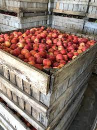 Check spelling or type a new query. Apple Bin Of Apples 530 Per 18 Bushel Bin 0 70 Lb Abendroth S Apple Ridge Orchard