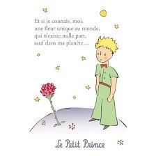 One day, however, the little prince catches the rose on the verge of making a minor lie. Rose Le Petit Prince Old Herbaceous