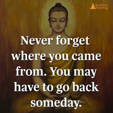 Never Forget Where You Come From Buddhism Quote Buddha Quotes Inspirational Buddha Quote