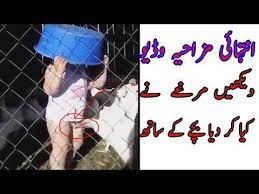 most trending funny videos full hd 2017 latest funny video clip new funny video pakistani latest funny videos funny videos for kids funny gif