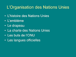 L Organisation Des Nations Unies