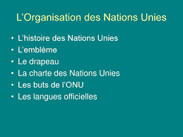 l organisation des nations unies