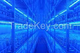 We did not find results for: Led Mushroom Growing Light By Zhicheng Lighting Technology China