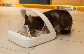 Puzzle feeders can create a fun way for cats to be active and mentally stimulated. The Surefeed Microchip Pet Feeder From Sure Petcare