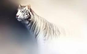 Maybe you would like to learn more about one of these? 375x667px Free Download Hd Wallpaper Cats White Tiger Wallpaper Flare