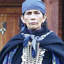 Ese año comenzó un litigio judicial con la sociedad palermo limitada, debido a la la entrevista finalizó cuando linconao deja en claro que no pertenece a ideologías políticas. Criminalisation Of Machi Francisca Linconao Front Line Defenders