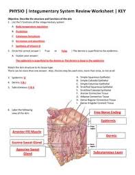 Pin By Sheryl Anderson Jones On Integumenary System Integumentary System Body Systems Human Anatomy And Physiology