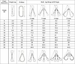 Chain Slings Safelift