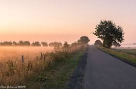 Natuurfoto Oost Groningen Verlengde Lutjeloosterweg Tijdens Zonsopgang Landschappen Natuurfoto S Groningen