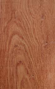 Image result for Guibourtia schliebenii