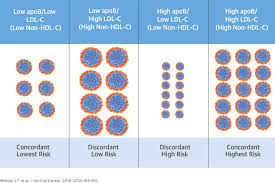 Discordance Between Apolipoprotein B And Ldl Cholesterol In