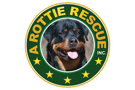 Khan came to us from one of our rescue partners in corsicana, texas. Pets For Adoption At A Rottie Rescue Inc In Irving Tx Petfinder
