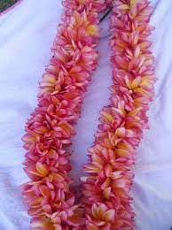 Double Rainbow Plumeria Lei Fragrant Hawaii Flowers Flower Garland Wedding Hawaiian Flowers