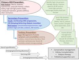 An effective regimen needs to do more than help you drop pounds, it should also promote habits that you. Kidney Health For Everyone Everywhere From Prevention To Detection And Equitable Access To Care Abstract Europe Pmc