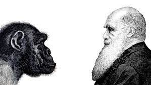 Darwin is a small yet cosmopolitan city. Evolutionstheorie Charles Darwin Beschreibt Die Evolution Eine Revolution Br Wissen