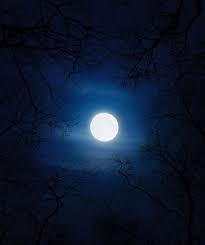Suitable for cards, invitations, coloring pages for adults and. Best Moon Stars Pictures Hd Download Free Images On Unsplash