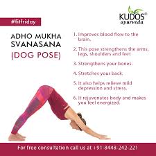 Adho Mukha Svanasana Dog Pose In 2020 Yoga Facts Easy Yoga Workouts Yoga Benefits Facts