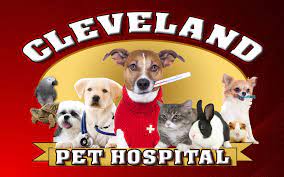 My dog received exceptional care from the staff. Home Veterinarian In Caldwell Id Cleveland Pet Hospital Health Center