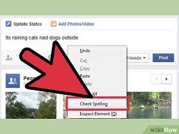 4 Ways To Put Spell Check On Facebook Wikihow