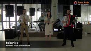 Listen to are mandra alunita on spotify. Nou 2017 Are Mandra Alunita Bobarlica Hora De Joc Formatia Iulian De La Vrancea Youtube