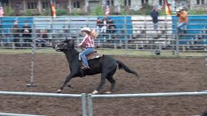 Diese sind zahlreich im internet zu finden. Rodeo Wie Geht Es Den Pferden Und Bullen Beim Rodeo