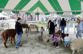 The traveling petting zoo contains over 30 farm animals such as goats, baby kids, sheep, baby lambs, calves, chinese silky chickens, turkeys, ducks, baby ducks rabbits, baby rabbits. Weymouth Township Man S Dream Turns Into Traveling Petting Zoo Business Pressofatlanticcity Com