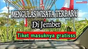 Tempat wisata di jember 2020. Agrowisata Gading Asri Jember Taman Buah Naga Gading Asri Taman Gading Youtube