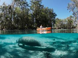 Please take the time to confirm that a spring is. Top 11 Natural Springs In Central Florida In 2021 With Photos Trips To Discover